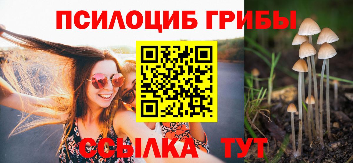 Лениногорск  Псилоцибиновые грибы Psilocybine cubensis  Вход с VPN  Псилоцибиновые грибы Psilocybe 